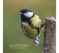 Toral, Rafael - Spectral Evolution [VINYL]