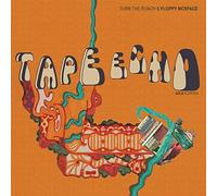 Torb the Roach & Floppy Macspace - Tape Echo: Gold Floppies [VINYL]