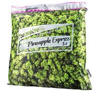 Torched Pineapple Express Stash Pillowcase with Secret Pocket | Decorative Throw Pillow Cushion with Cool Hidden Compartment | Fits 16 x 16 Inch Pillow Insert | Weed Decor | Weed Pillow