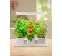 TORCHSTAR Indoor Herb Garden with LED Grow Light, Height Adjustable, 20W Growing System with Automatic Timer, CRI 95+, Full Spectrum Plant Light for Seeds, Vegetation, Home, White, No Pots or Plants