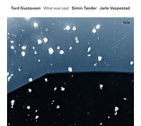 Tord Gustavsen, Simin Tander, Jarle Vespestad - What Was Said