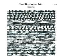 Tord Gustavsen Trio – Seeing – Vinyl (US Import)