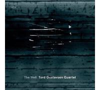 Tord Gustavsen Quartet - The Well