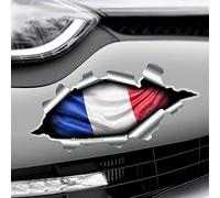 Torn Ripped 3D Effect France Flag French Novelty Car, Bumper Vinyl Decal Sticker