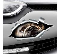 Torn Ripped 3D Effect Peeking Bulldog Funny Novelty Dog Car, Bumper Vinyl Decal Sticker