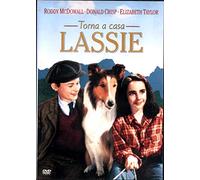 Torna a casa, Lassie!
