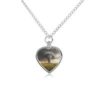 Tornado Pet Ashes Necklace Heart Urn Necklaces for Dog Cat Cremation Jewelry Memorial Keepsake