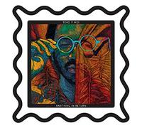 Toro Y Moi - Anything In Return [VINYL]