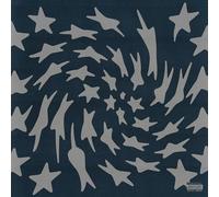 Toro Y Moi - Hole Erth (Silver Smoke Vinyl) [VINYL]