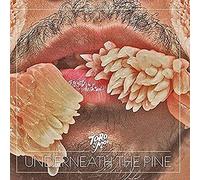 Toro Y Moi - Underneath the Pine (10th Anniversary) [VINYL]