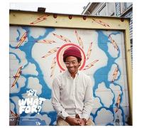 Toro Y Moi - What For [VINYL]
