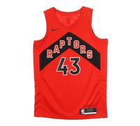 Toronto Raptors Basketball Tank Top, male, Nike, Sleeveless Tops, Red, S, Tops S