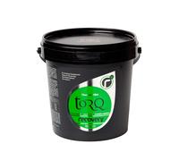 Torq Recovery Drink 500g - Chocolate Mint
