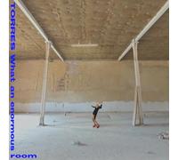 Torres - What An Enormous Room -Blue Jay & White Vinyl- [VINYL]