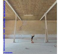 Torres - What An Enormous Room [VINYL]