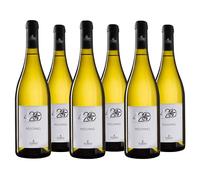 Torri Cantine 4 20 Pecorino d'Abruzzo DOC, 6 x 75cl