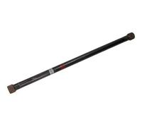 Torsion bar 69-0688 MAXGEAR for RENAULT MEGANE I Grandtour SCÉNIC I MPV