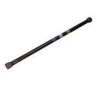 Torsion bar 69-0693 MAXGEAR for RENAULT MEGANE Scénic MEGANE I Grandtour
