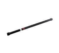 TORSION ROD For RENAULT MEGANE I 96- /REAR LEFT/
