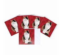 Tort Cat Blank Greeting Card by Leslie Gerry - Pack of 5 Multipack