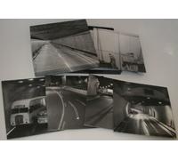 Tortoise - A Lazarus Taxon