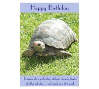 Tortoise Birthday Card