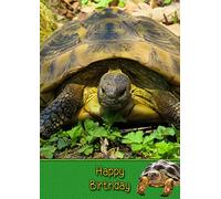 Tortoise Birthday Card