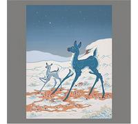 Tortoise & Bonnie Prince Billy - The Brave and the Bold