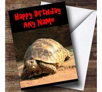 Tortoise Personalised Birthday Card | Birthday Card | Animals, Wildlife & Pets Card