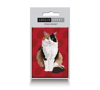 Tortoise Shell Cat Fridge Magnet by Leslie Gerry