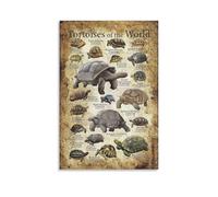 Tortoises of The World Poster Cool Artworks Painting Wall Art Canvas Prints Hanging Picture Posters 12x18inch(30x45cm)