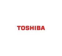 Toshiba N300 4TB Internal NAS Hard Drive, 3.5’’ SATA HDD, 7200 RPM, 24/7 Operation, Supports 1-8 bay systems, 128MB Cache, 180TB/Year workload, 3yr Warranty (MN10ADA400ES).