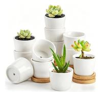 Tosnail 12 Pack 2.5 Inch Small Succulent Pots with 12 Bamboo Trays, Round White Ceramic Mini Plant Pots, Tiny Succulent Planters, Cactus, Flower, Air Plant Containers, Modern Home and Office Decor