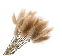 TOSSPER 20pcs Natural Dried Flower Bouquets Rabbit Tail Grass Bunches Home Wedding Party Decoration Photo Props 16 Inch