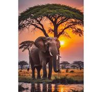 TOSTOG Diamond Painting Kits for Adults,Elephant 5D DIY Diamond Art Kit Full Drill Diamond Crystal Rhinestone Arts and Crafts Picture for Home Wall Decor 30x40cm