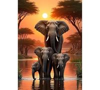 TOSTOG Diamond Painting Kits for Adults,Full Drill 5D DIY Elephant Diamond Art Kit Diamond Crystal Rhinestone Arts and Crafts Picture for Home Wall Decor 30x40cm