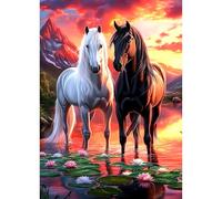 TOSTOG Diamond Painting Kits for Adults,Two Horses DIY Diamond Art Kit Full Drill Diamond Crystal Rhinestone Arts and Crafts Picture for Home Wall Decor 30x40cm