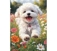 TOSTOG Diamond Painting Kits for Adults,White Bichon Frise 5D DIY Diamond Art Kit Full Drill Diamond Crystal Rhinestone Arts and Crafts Picture for Home Wall Decor 30x40cm