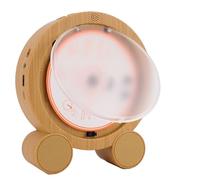 Tosuny Desktop Vertical CD Player, Portable CD Players with Bluetooth, LCD Screen Display, HiFi Dual Speakers, FM Radio, Support Timed Music ON/Off USB SD (White)