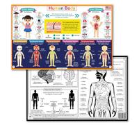 Tot Talk Human Body Educational Placemat | Anatomy, Systems & 5 Senses Fun