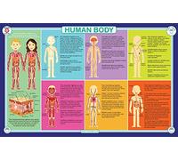 Tot Talk Human Body Educational Placemat for Kids, Washable and Long-Lasting, Double-Sided, Made in The USA