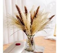 Total 60 Pcs - 15 Pcs White Pampas & 15 Pcs Brown Pampas & 30 Pcs Reed Grass/Natural Dried Pampas Grass for Flower Arrangements Home Decor