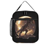 Total Solar Eclipse Portable Cute Lunch Bag Reusable Insulated Tote Lunch Box Organizer for Picnic Office