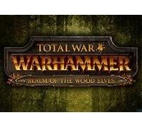 Total War: Warhammer - Realm of The Wood Elves DLC RU VPN Required Steam CD Key