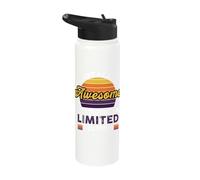 Totally Awesome Statistician Limited Edition Stainless Steel Insulated Water Bottle