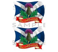 Totally Graphics 2 x Scottish Thistle Flags Stickers, Blue and White, 8 cm x 11 cm