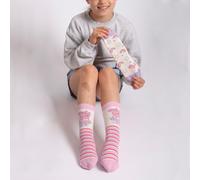 totes Childrens Novelty Original Slipper Sock (Twin Pack)