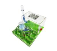 TOTIKI Ant Farm Acrylic Ant Castle Breeding Moisturizing Nest Scientific Observation DIY Habitat(Grün)