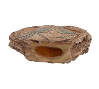 Totority Dragonfly Insect in Resin for Reptile Habitat Realistic Brown Prehistoric Bug Model with Educational Value and Versatile Use as Terrarium Bug Specimen Decoration for Science