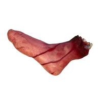 Totority Hyper-realistic Broken Foot Halloween Decoration with Blood Effect, Rubber Severed Foot for Dressing Parties and Scary Atmosphere, Red-like Feel Novelty Accessory